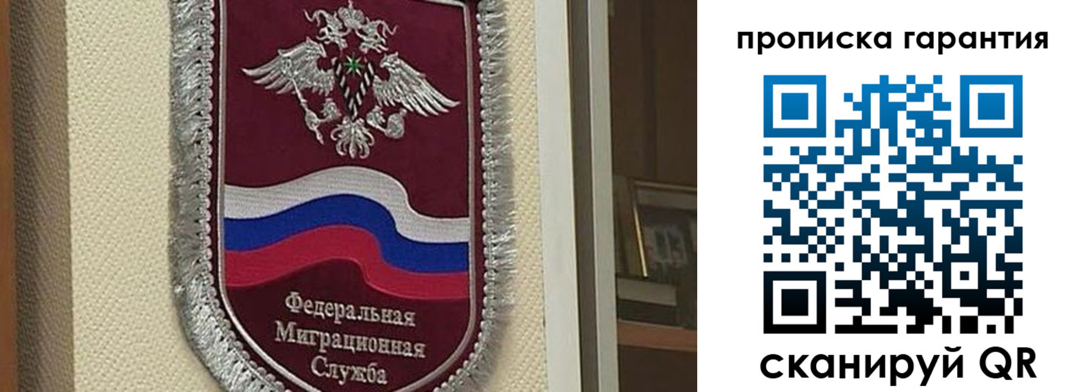 прописка в Александрове